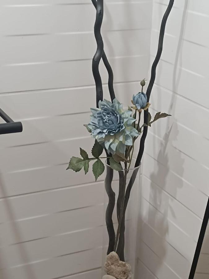 Apartament Anfiteatre Roma Tarragona Buitenkant foto